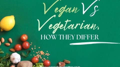 Vegan Vs Vegetarian, How They Differ