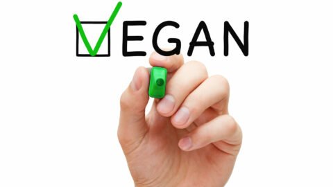 vegan diet health issues