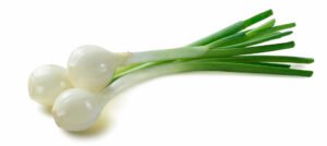 Scallion bulbs and shoots