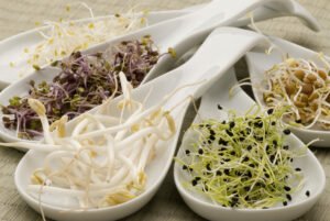 assorted sprouts in white serving sppons