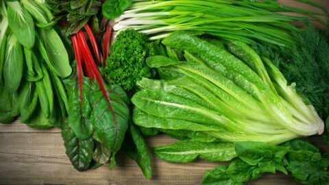 various green leafy vegetables