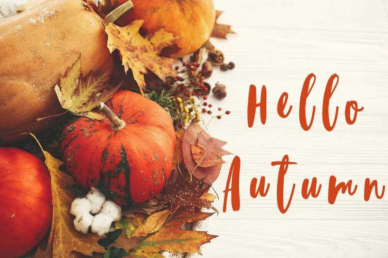 Vegan Fall Recipe