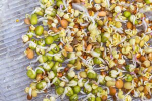 benefits of eating raw sprouts