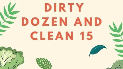 Title-2023 Dirty Dozen and Clean 15
