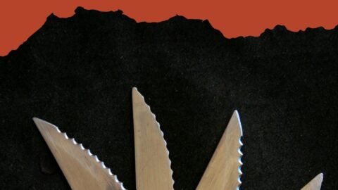 Title-What are serrated knives used for