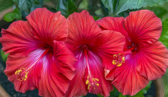 flowering vegetables
