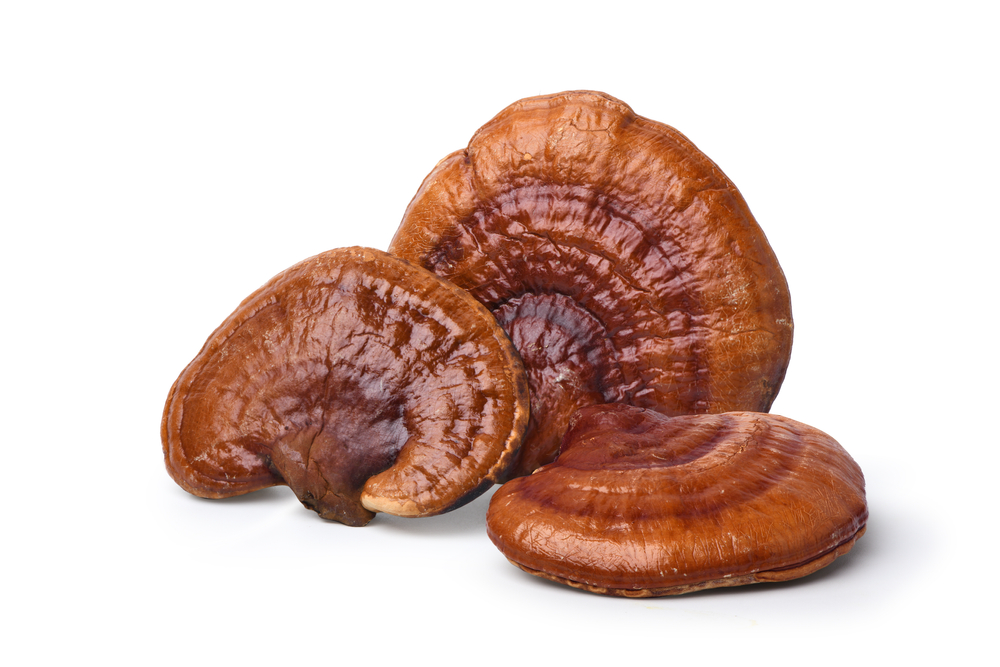reishi mushrooms