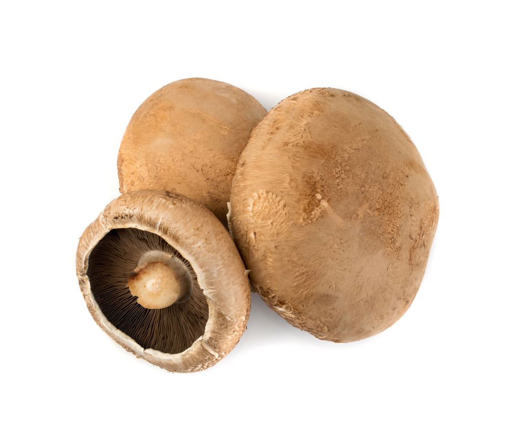 edible mushroom facts