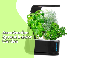 AeroGarden Sprout Indoor Garden