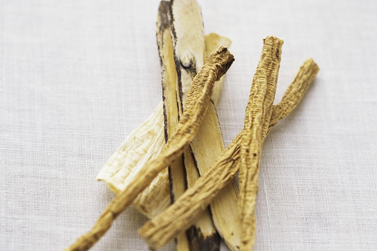Astragalus