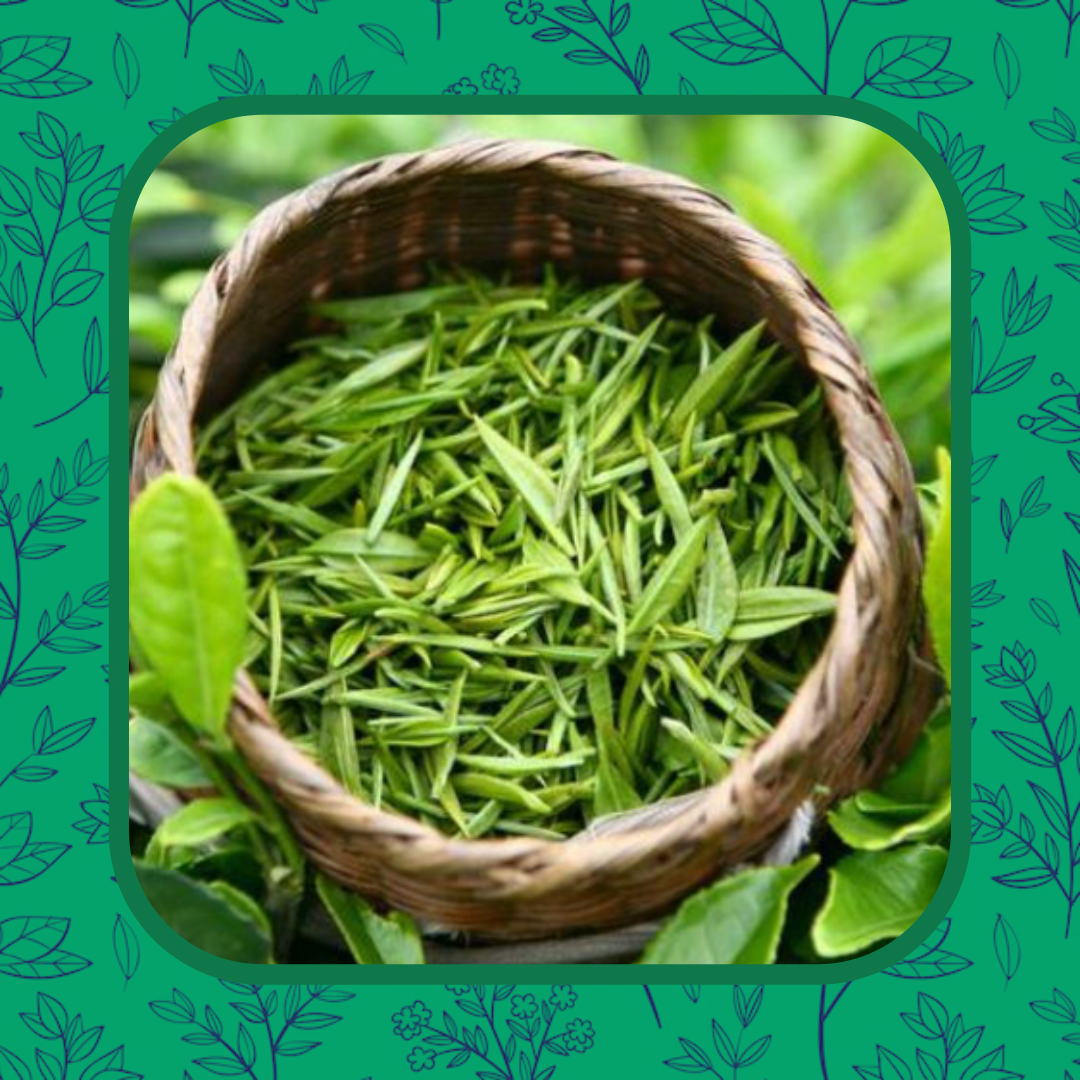 Green Tea