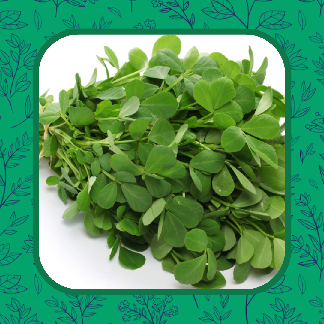 Fenugreek