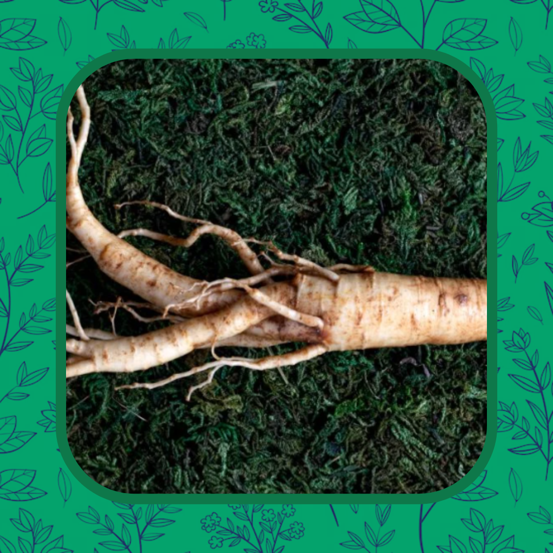 Ginseng