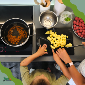 induction, induction cooking, net-zero