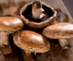 Raw Portobello Mushrooms