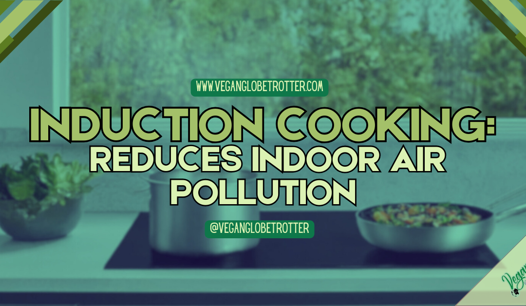 Induction Cooking: Reduces Indoor Air Pollution