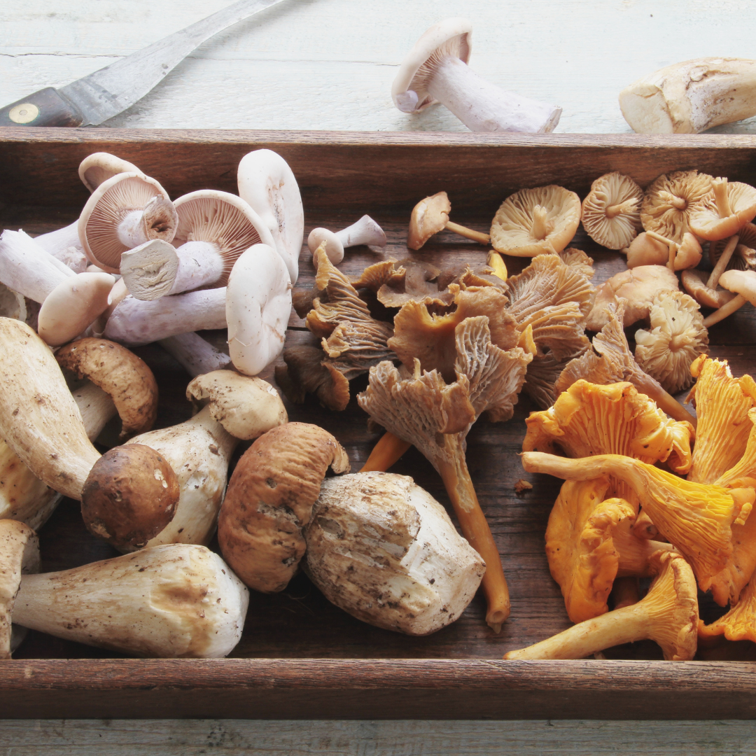 Other mushroom options.