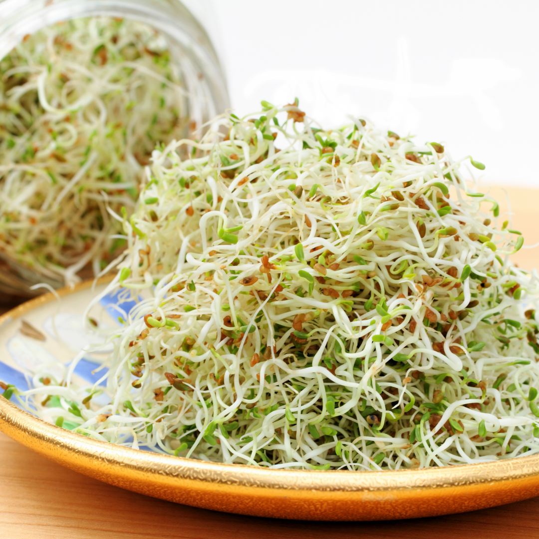 Easy Sprouting 