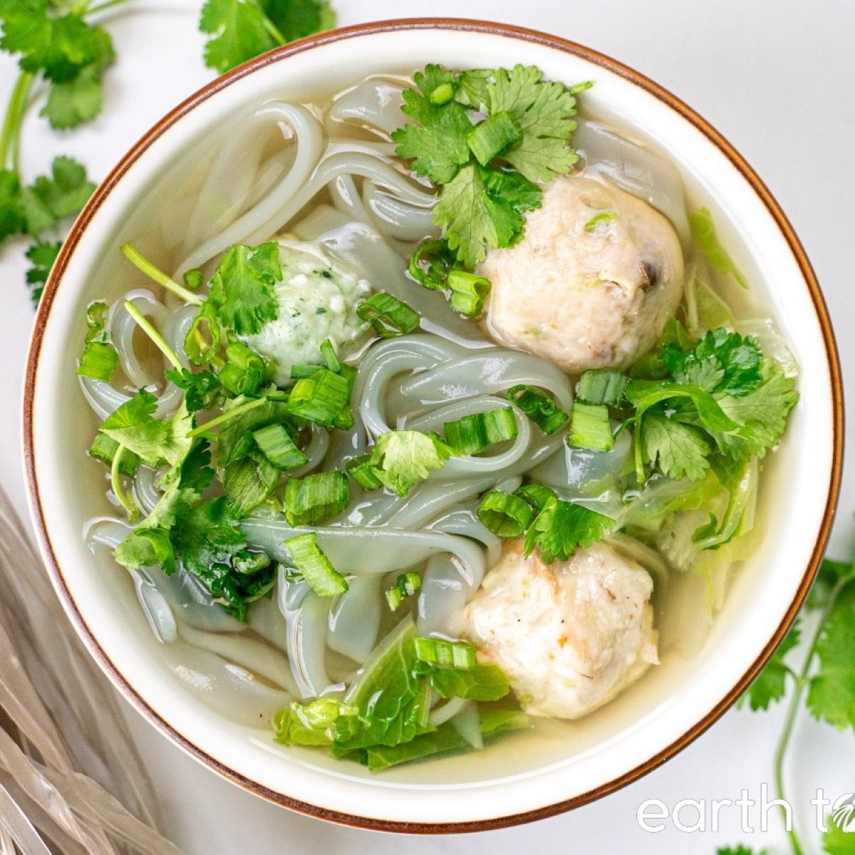 Nofish Ball Noodle Soup Vegan