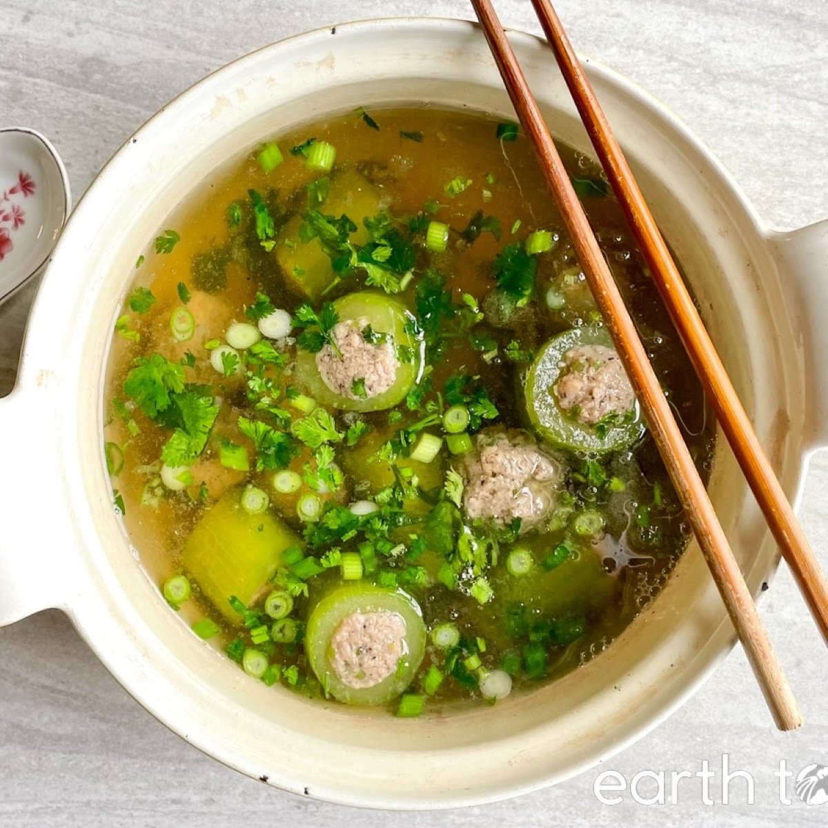 Stuffed Bitter Melon Soup Vegan Recipe