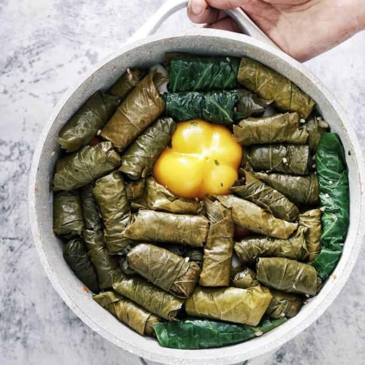 Vegetarian Stuffed Grape Leaves Recipe Dolma